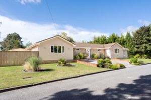 Photo 15- click for photo gallery